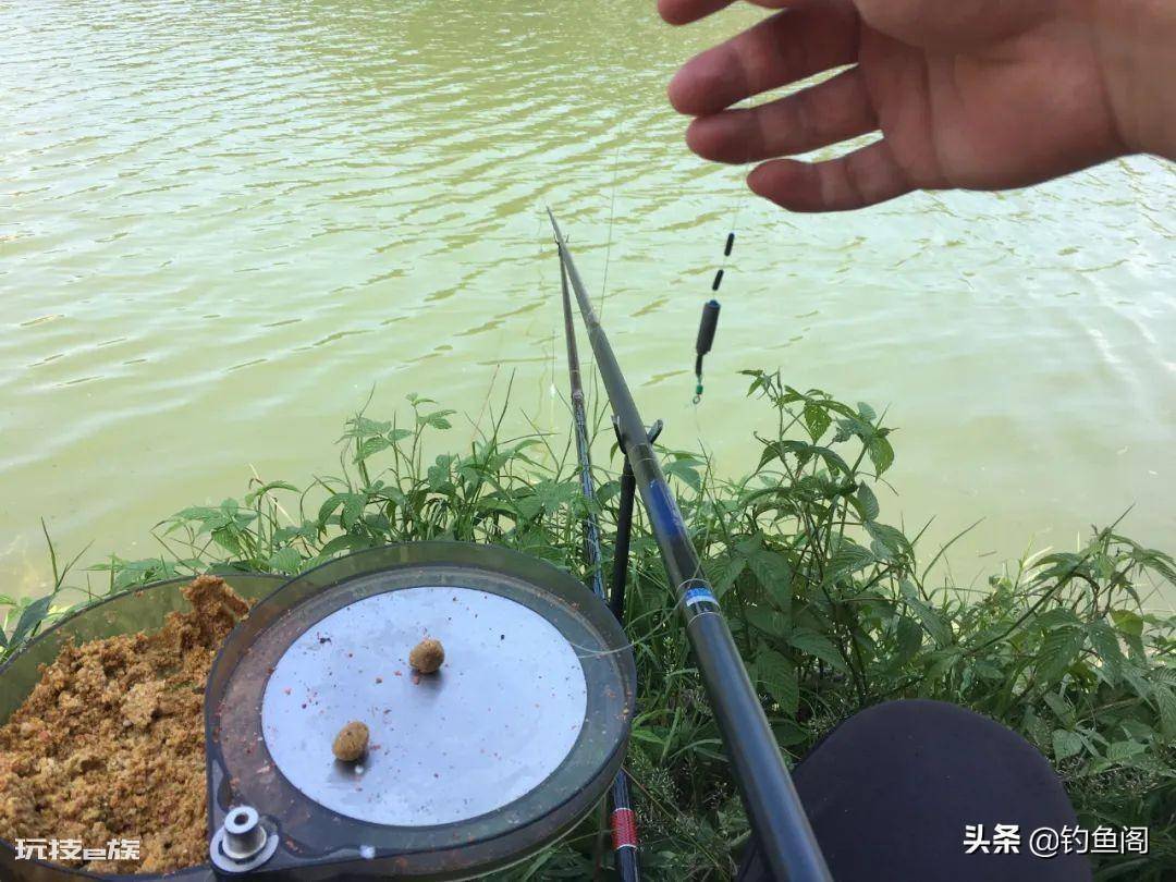 野钓调漂的正确方法和技巧(简单易学的三种调漂方法)-图片5
